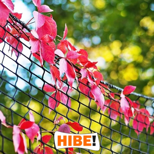   Hibe - Siatka autostradowa i drogowa z polipropylenu o oczkach 8x8 cm i grubości 5 mm w kolorze zielonym lub szarym na wymiar 