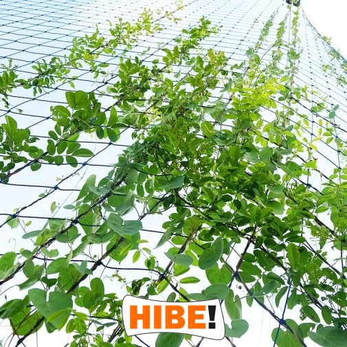   Hibe - Siatka zabezpieczająca na autostrady i drogi o oczku 8x8 cm i grubości 5 mm, wykonana z polipropylenu, dostępna na wymiar w kolorze zielonym lub szarym. 