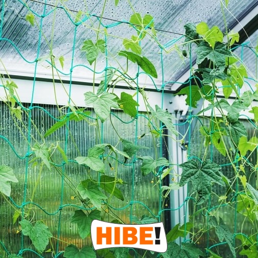  Hibe - Siatka na autostrady i drogi z polipropylenu o grubości 4 mm, w kolorze zielonym lub grafitowym, z oczkami 6x6 cm, dostępna na twój wymiar. 