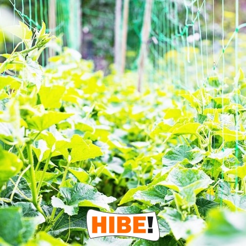   Hibe - Siatka zabezpieczająca na drogi i autostrady zielona o oczkach 10x10 cm i grubości 5 mm, sprzedawana na wymiar. 