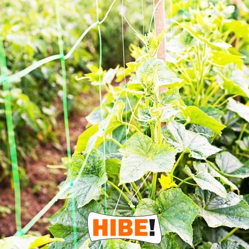  Hibe - Siatka na autostrady i drogi z polipropylenu o grubości 4 mm, w kolorze zielonym lub grafitowym, z oczkami 6x6 cm, dostępna na twój wymiar. 