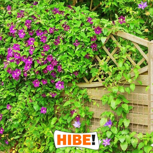   Hibe - Siatka drogowa i autostradowa z polipropylenu, zielona, o oczkach 10x10 cm i grubości 6 mm. 