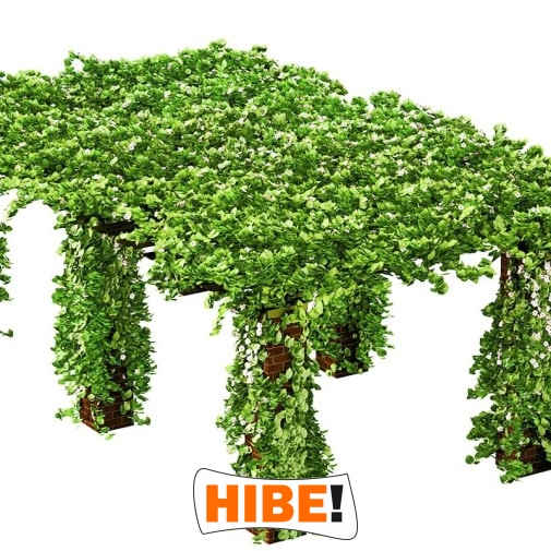   Hibe - Siatka drogowa i autostradowa z polipropylenu, zielona, o oczkach 10x10 cm i grubości 6 mm. 