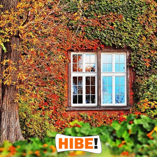   Hibe - Siatka na autostrady i drogi z polipropylenu, szara i czarna, do montażu na twoje wymiary, z oczkiem 1x1 cm. 