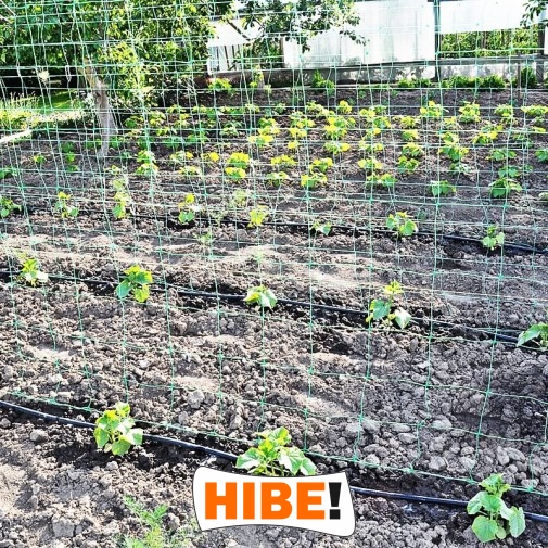   Hibe - Siatka na autostrady i drogi z polipropylenu, szara i czarna, do montażu na twoje wymiary, z oczkiem 1x1 cm. 