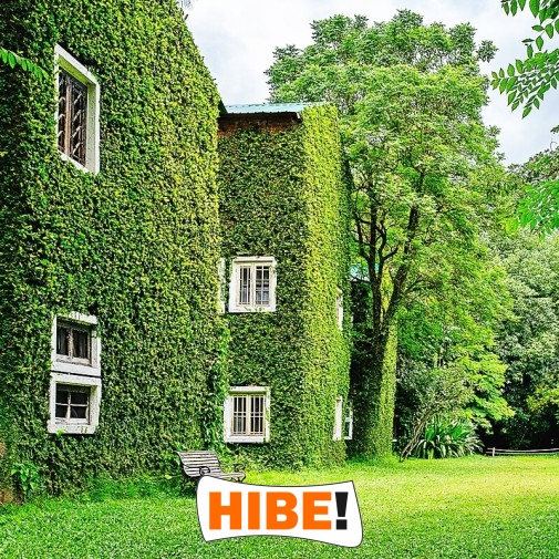   Hibe - Siatka ochronna z polipropylenu o oczkach 2x2 cm, idealna do zabezpieczeń na drogach i autostradach, dostępna na wymiar. 