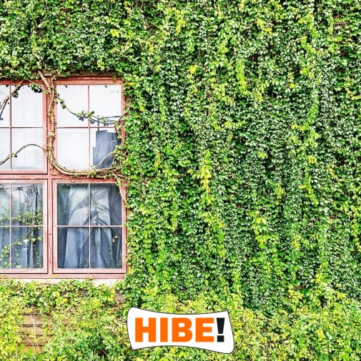  Hibe - Siatka na autostradę i drogę 