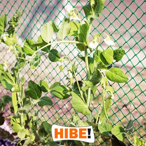   Hibe - Siatka na autostrady i drogi w zielonym lub grafitowym kolorze, dostępna na twoje wymiary. 