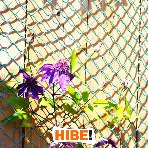   Hibe - Solidna siatka na autostrady i drogi z polipropylenu o optymalnym oczku 6x6 cm, wybierana do trwałego wykonawstwa. 