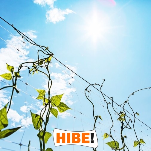   Hibe - Siatka na autostrady i drogi z polipropylenu, szara i czarna, do montażu na twoje wymiary, z oczkiem 1x1 cm. 