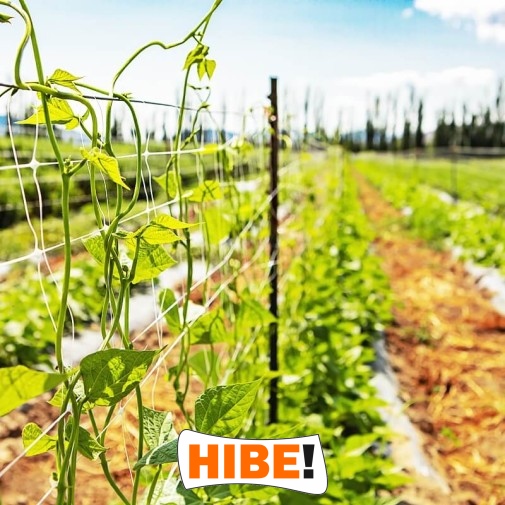   Hibe - Trwała siatka do zabezpieczenia autostrad i dróg z polipropylenu o grubości 4mm i oczku 4,5x4,5cm 