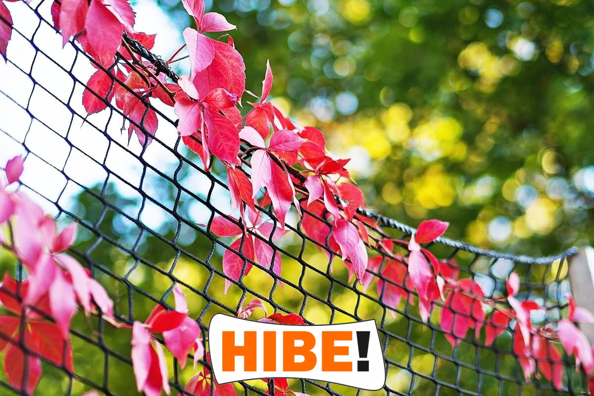   Hibe - Siatka autostradowa i drogowa z polipropylenu o oczkach 8x8 cm i grubości 5 mm w kolorze zielonym lub szarym na wymiar 