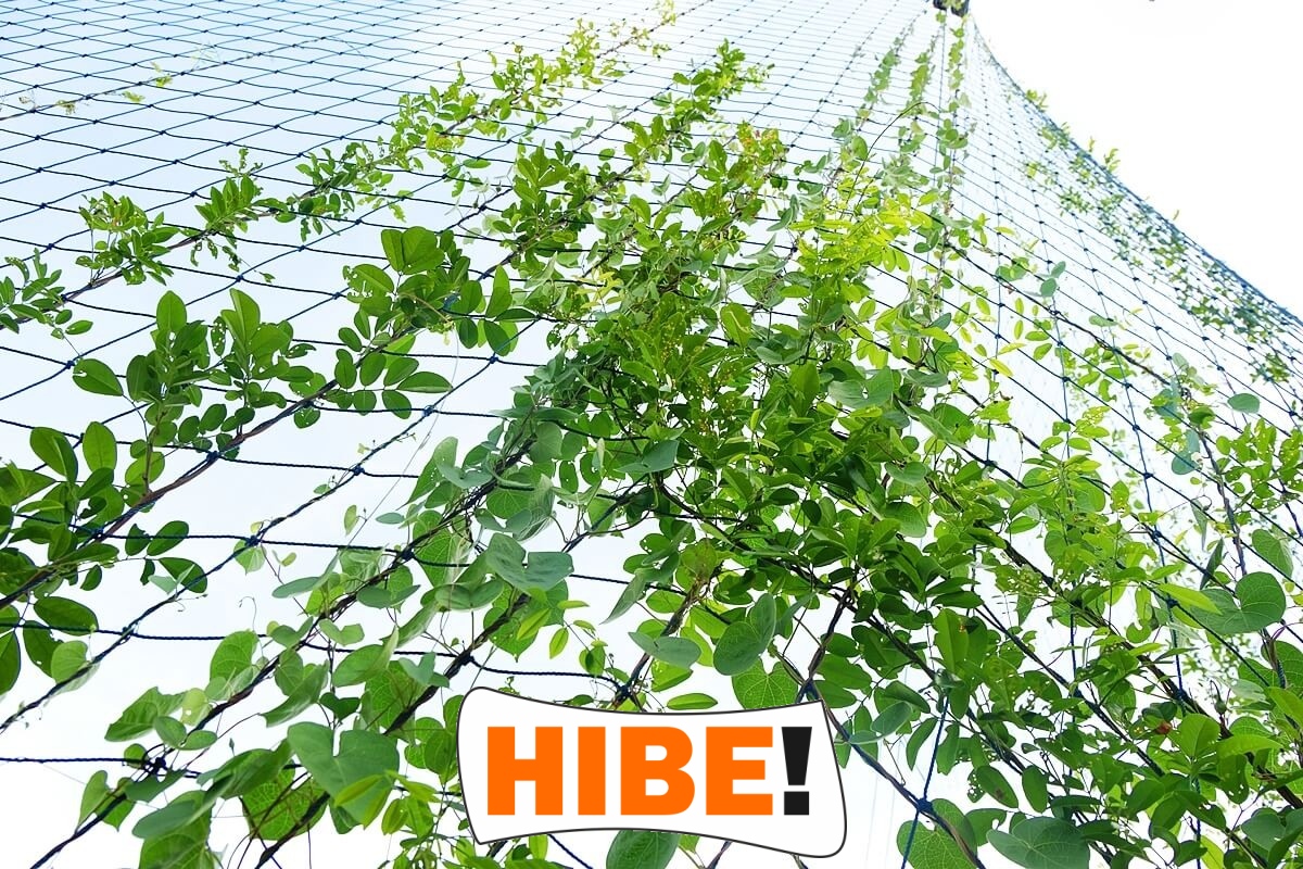   Hibe - Siatka zabezpieczająca na autostrady i drogi o oczku 8x8 cm i grubości 5 mm, wykonana z polipropylenu, dostępna na wymiar w kolorze zielonym lub szarym. 