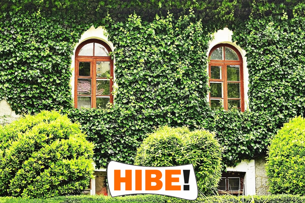  Hibe - Siatka na autostradę i drogę 