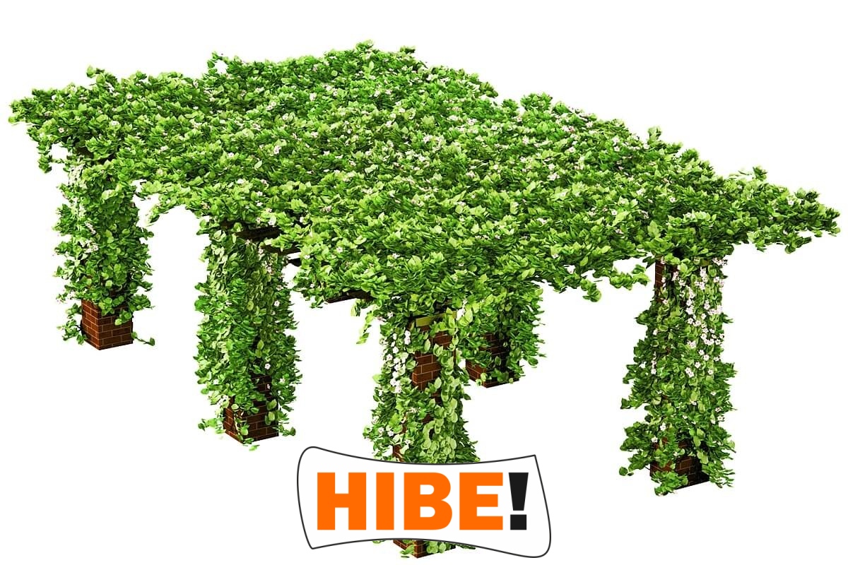   Hibe - Siatka drogowa i autostradowa z polipropylenu, zielona, o oczkach 10x10 cm i grubości 6 mm. 