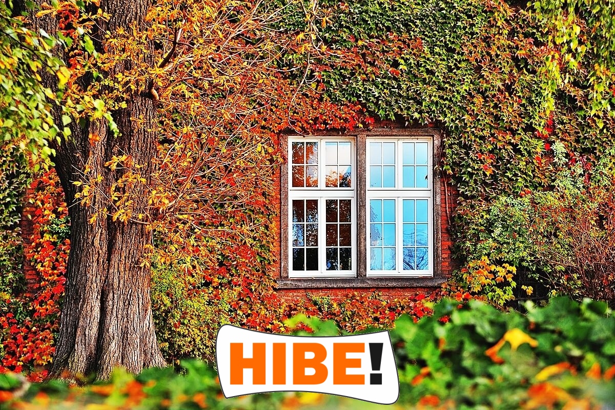   Hibe - Siatka na autostrady i drogi z polipropylenu, szara i czarna, do montażu na twoje wymiary, z oczkiem 1x1 cm. 