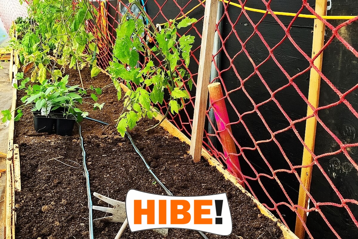   Hibe - Siatka na autostrady i drogi z polipropylenu, szara i czarna, do montażu na twoje wymiary, z oczkiem 1x1 cm. 