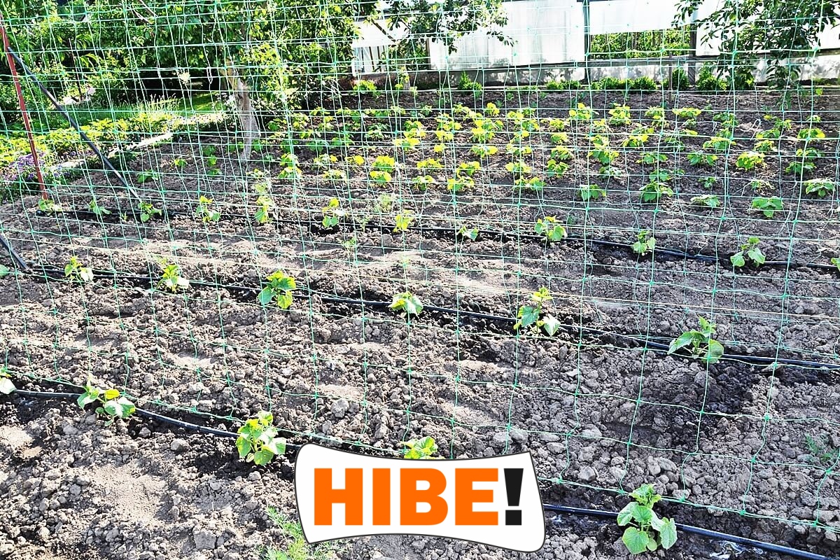   Hibe - Siatka na autostrady i drogi z polipropylenu, szara i czarna, do montażu na twoje wymiary, z oczkiem 1x1 cm. 