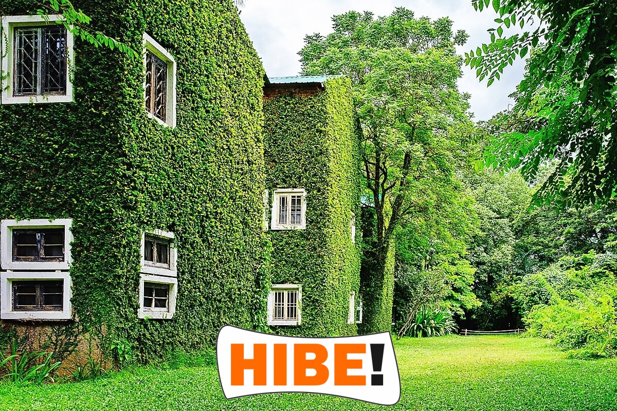   Hibe - Siatka ochronna z polipropylenu o oczkach 2x2 cm, idealna do zabezpieczeń na drogach i autostradach, dostępna na wymiar. 