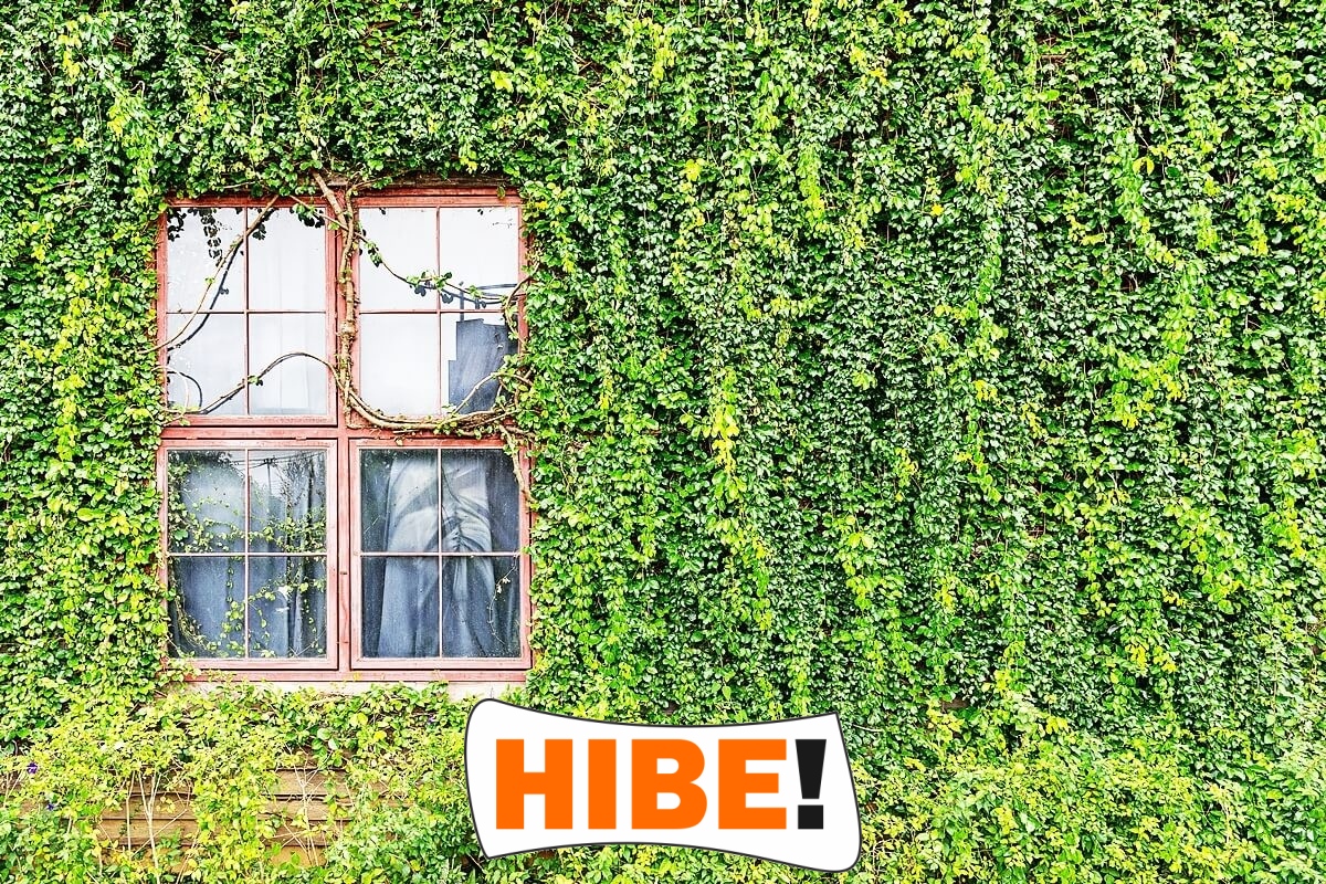  Hibe - Siatka na autostradę i drogę 