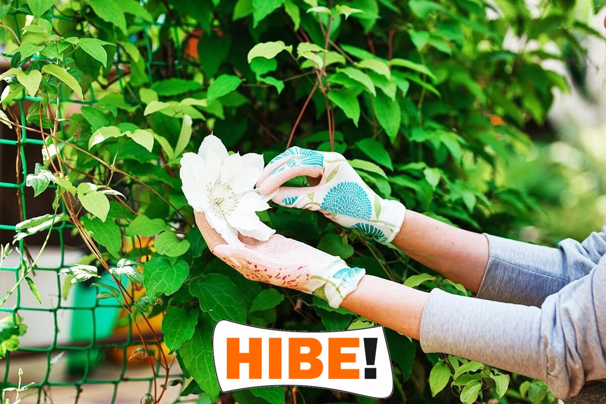   Hibe - Siatka ochronna na autostrady i drogi z polipropylenu, szaro-czarna, o oczku 1x1cm. 