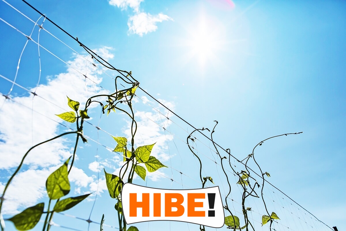   Hibe - Siatka na autostrady i drogi z polipropylenu, szara i czarna, do montażu na twoje wymiary, z oczkiem 1x1 cm. 